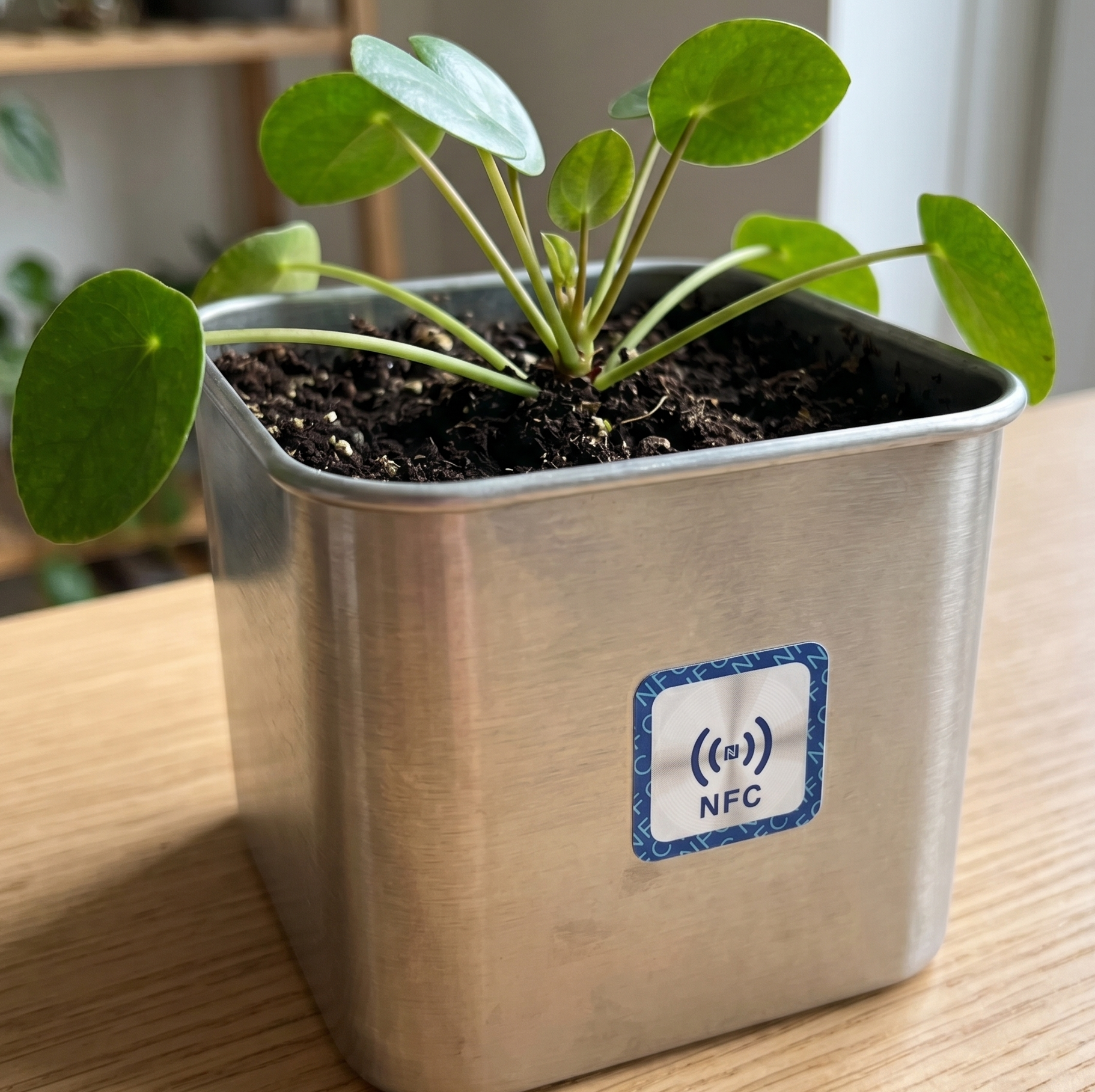 Square on-metal EveryTag on a metallic pot containing a plant